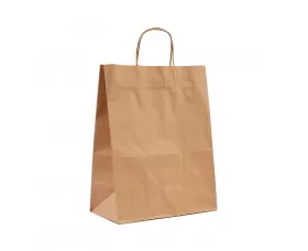 Пакет з крученими ручками (335х260х140) (арт. 808) - зображення